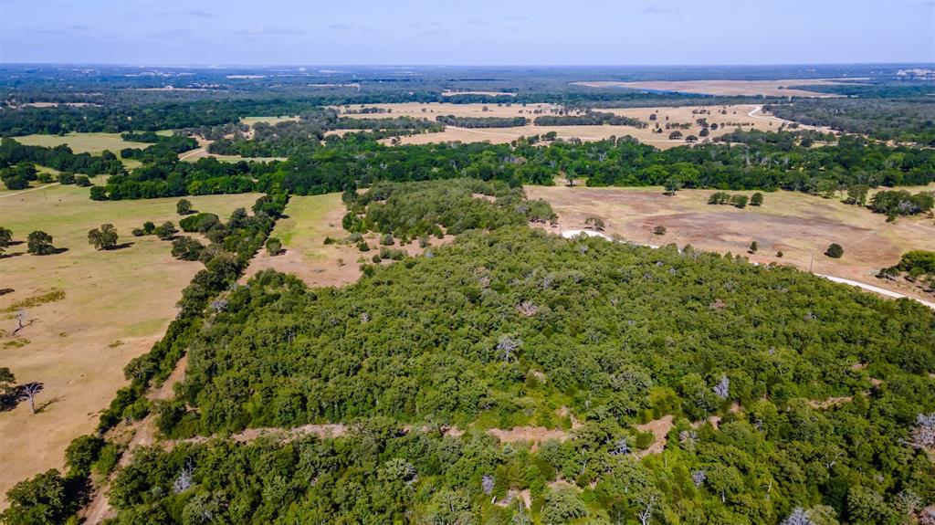 1501 Walleye Creek Trail  , Lexington, Texas image 35