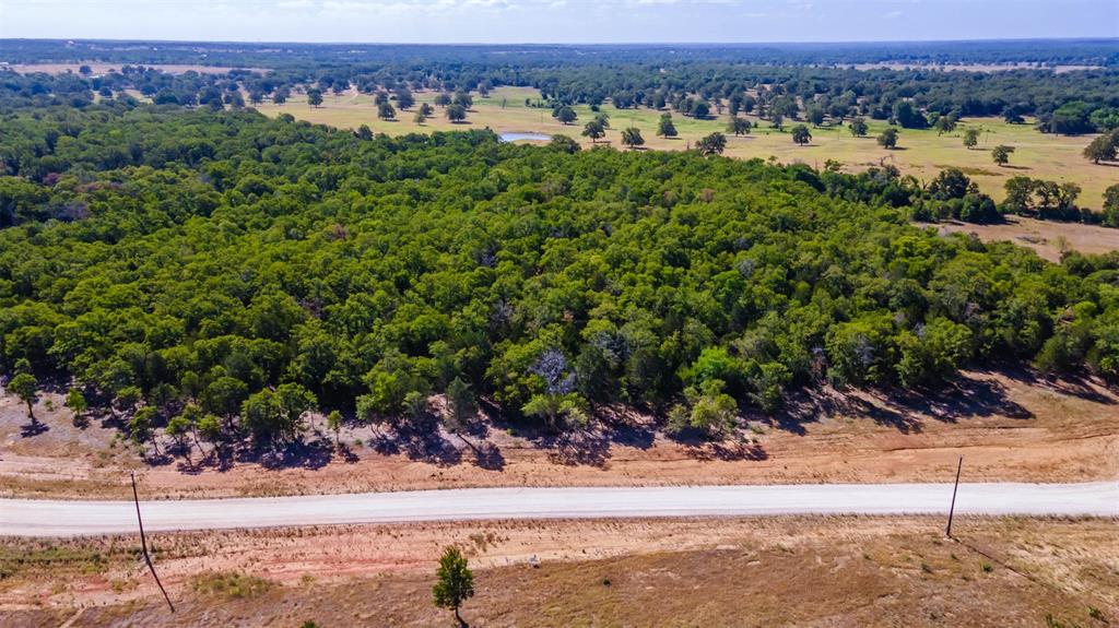 1501 Walleye Creek Trail  , Lexington, Texas image 36