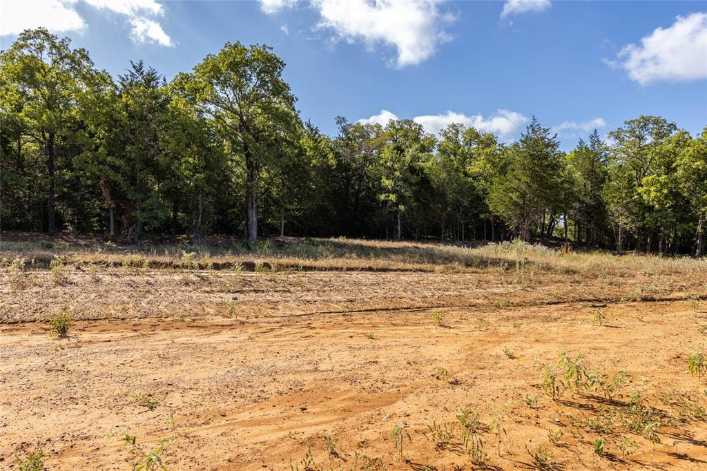 1501 Walleye Creek Trail  , Lexington, Texas image 37