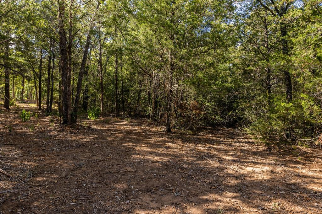 1501 Walleye Creek Trail  , Lexington, Texas image 38