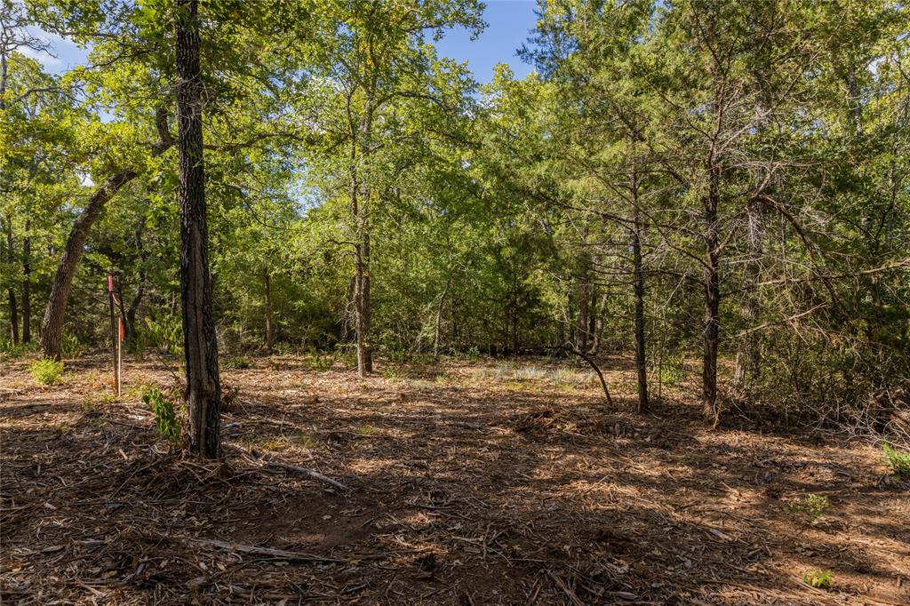 1501 Walleye Creek Trail  , Lexington, Texas image 39