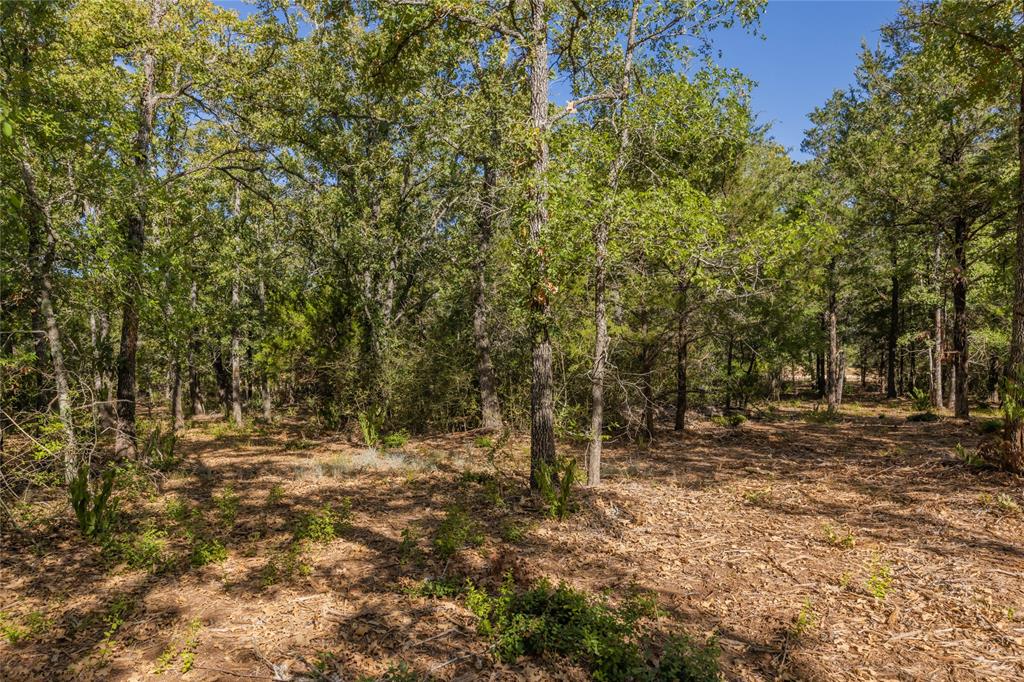 1501 Walleye Creek Trail  , Lexington, Texas image 40