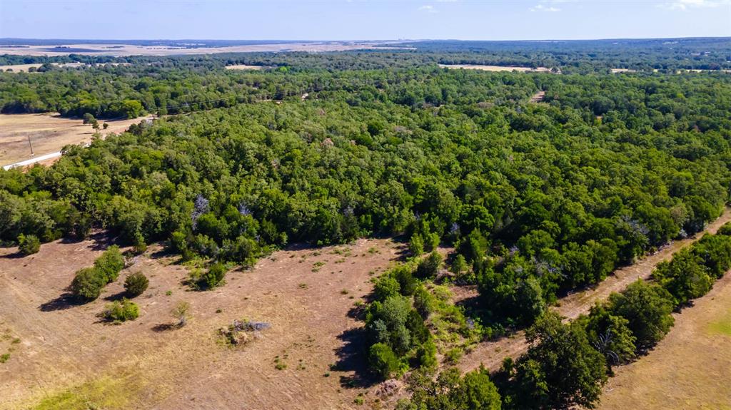 1501 Walleye Creek Trail  , Lexington, Texas image 5