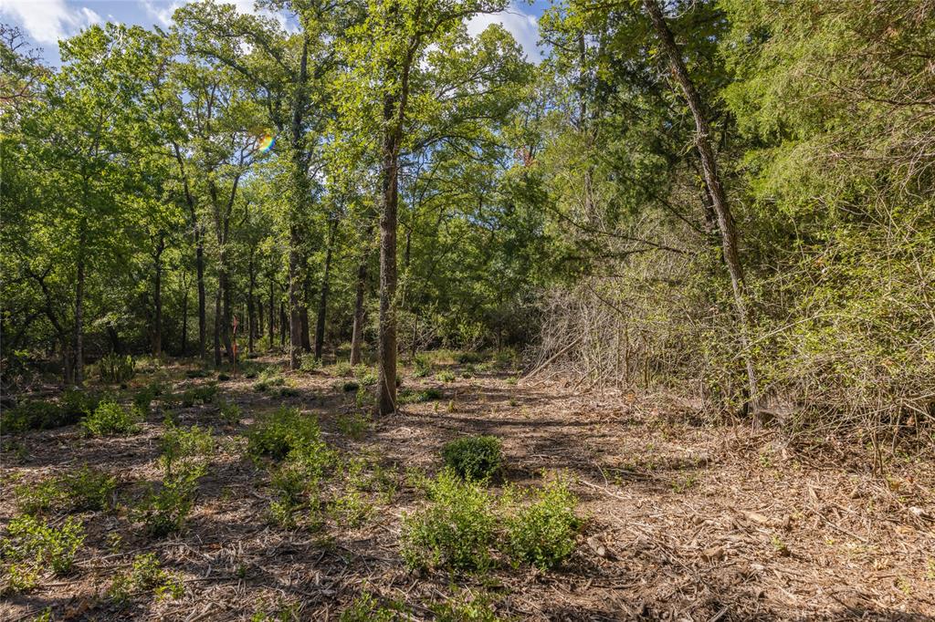 1501 Walleye Creek Trail  , Lexington, Texas image 41