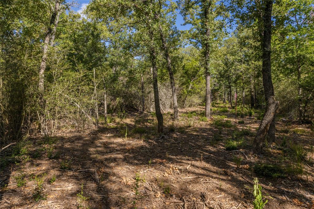 1501 Walleye Creek Trail  , Lexington, Texas image 42