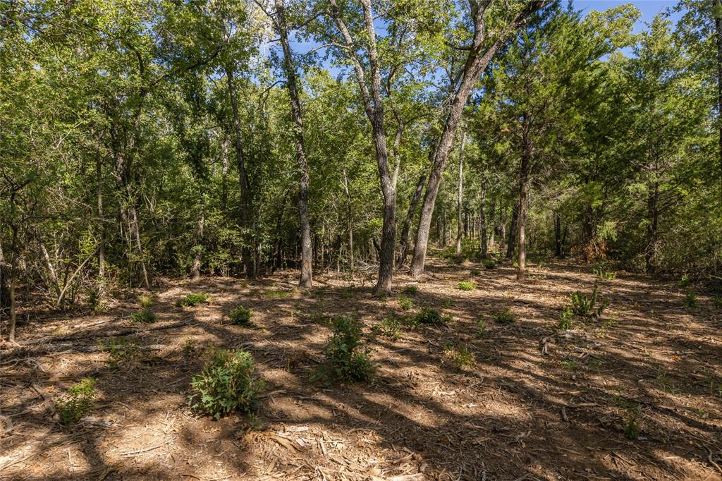 1501 Walleye Creek Trail  , Lexington, Texas image 43