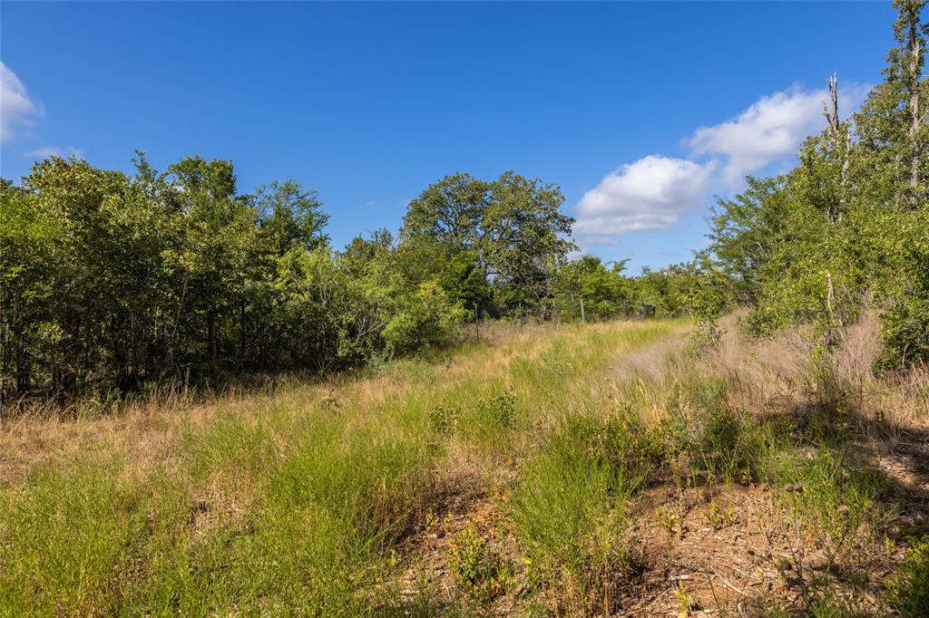 1501 Walleye Creek Trail  , Lexington, Texas image 45