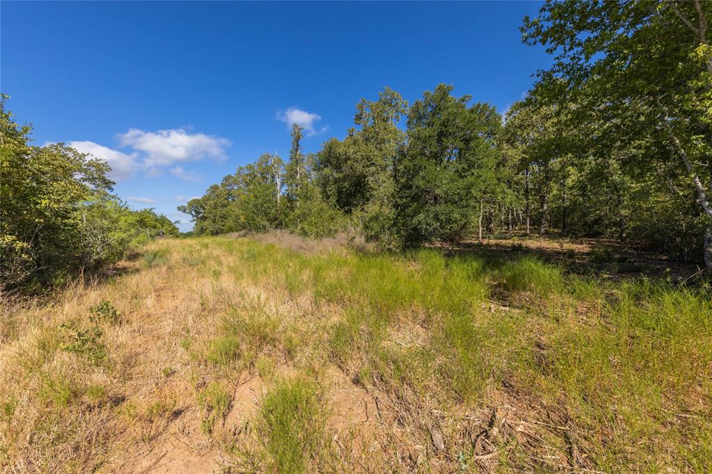 1501 Walleye Creek Trail  , Lexington, Texas image 46