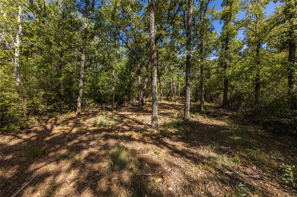 1501 Walleye Creek Trail  , Lexington, Texas image 47