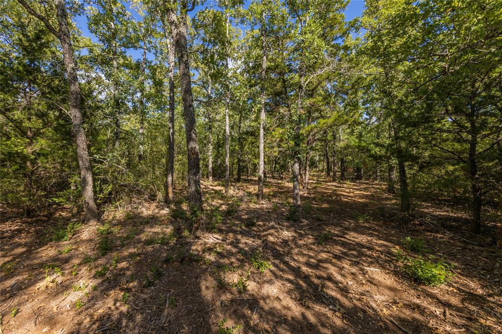 1501 Walleye Creek Trail  , Lexington, Texas image 48