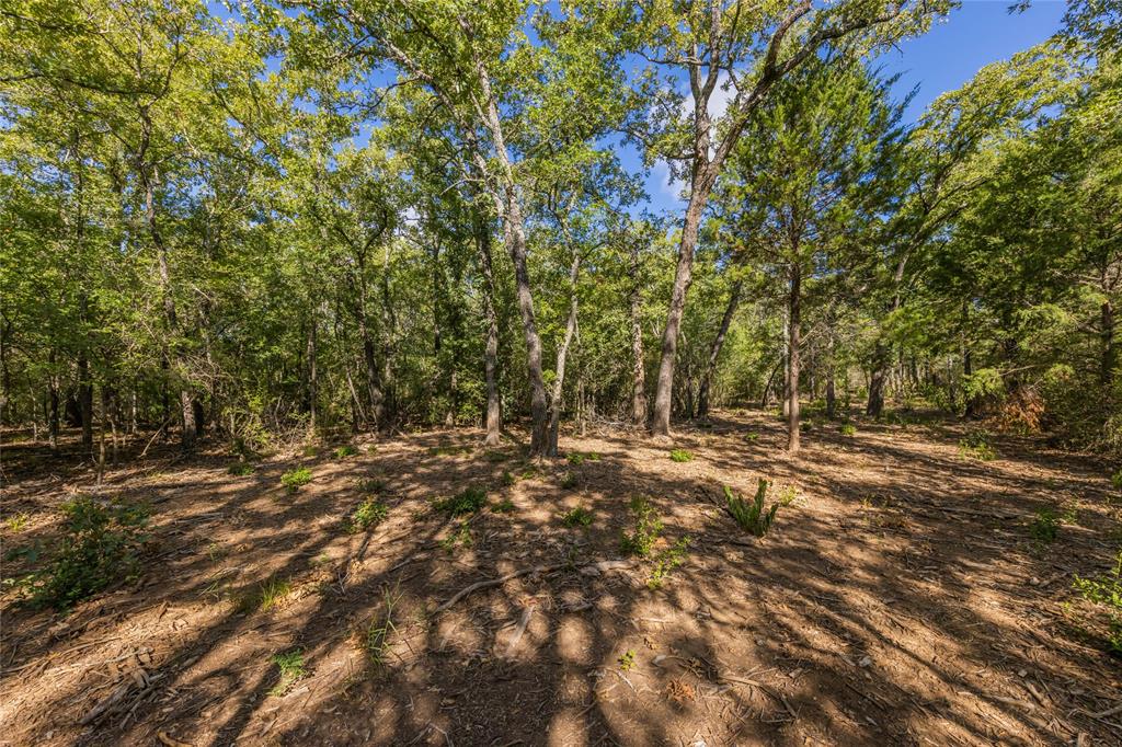 1501 Walleye Creek Trail  , Lexington, Texas image 49