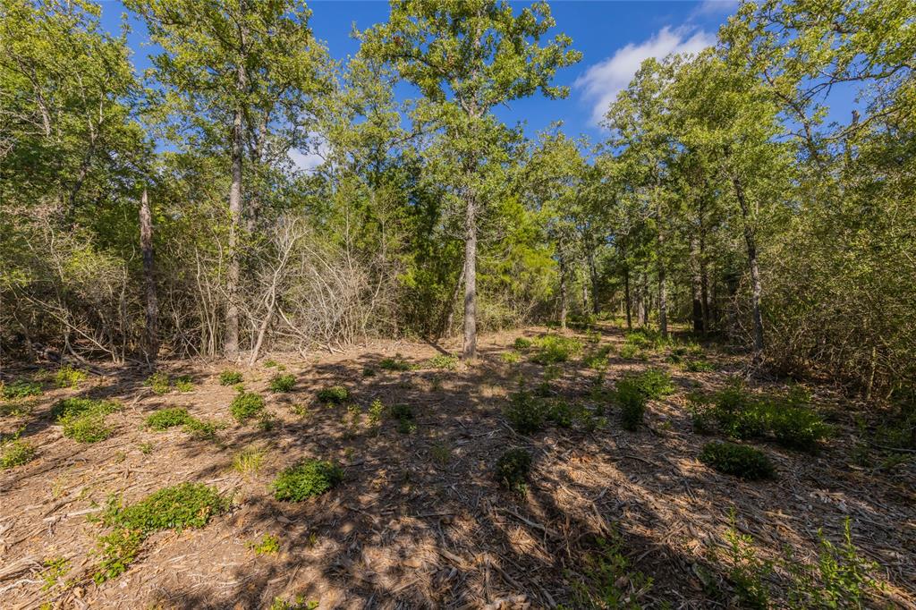 1501 Walleye Creek Trail  , Lexington, Texas image 50