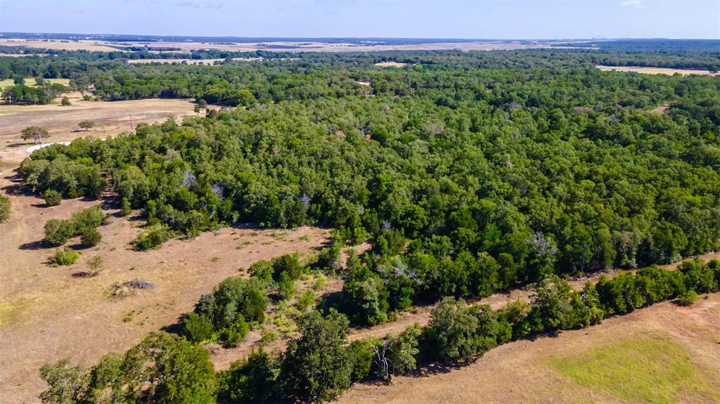 1501 Walleye Creek Trail  , Lexington, Texas image 6