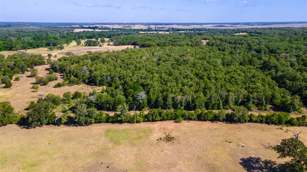 1501 Walleye Creek Trail  , Lexington, Texas image 7