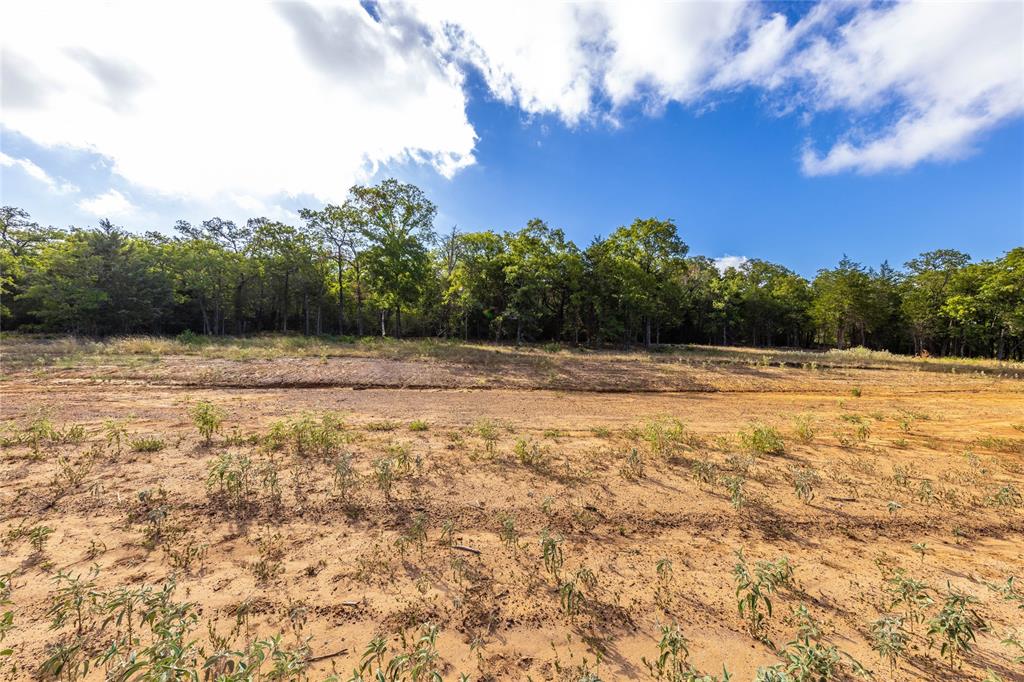 1501 Walleye Creek Trail  , Lexington, Texas image 8