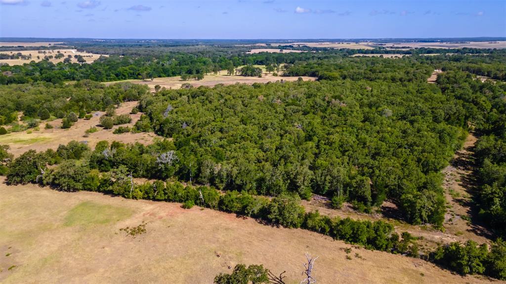 1501 Walleye Creek Trail  , Lexington, Texas image 9