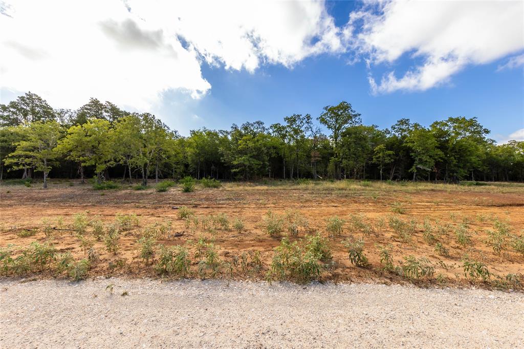 1501 Walleye Creek Trail  , Lexington, Texas image 10