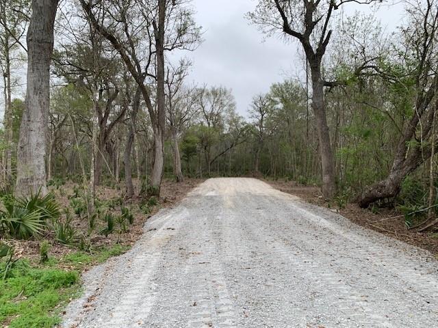 16532 County Road 729  , Brazoria, Texas image 5