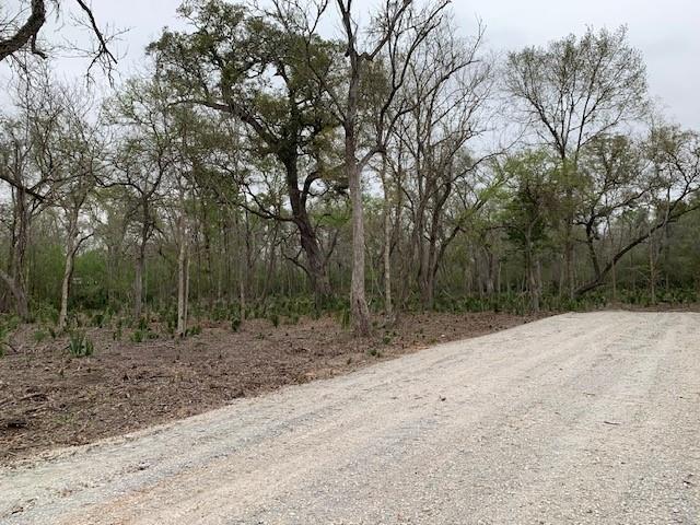 16532 County Road 729  , Brazoria, Texas image 7