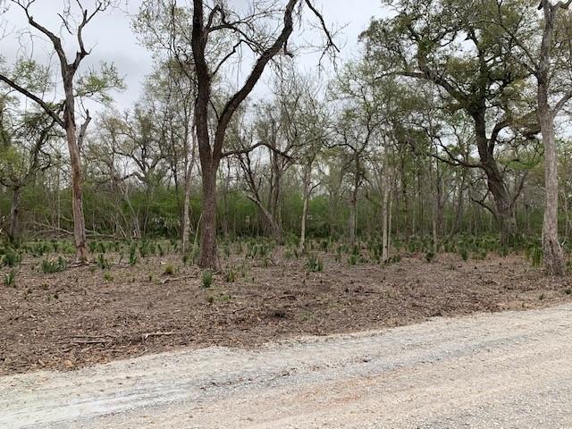 16532 County Road 729  , Brazoria, Texas image 8