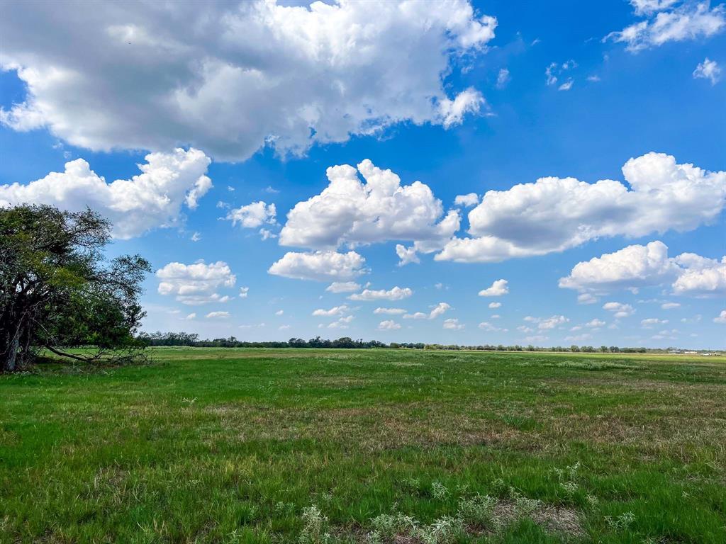 Tract 8 Fm 2745  , Kosse, Texas image 11