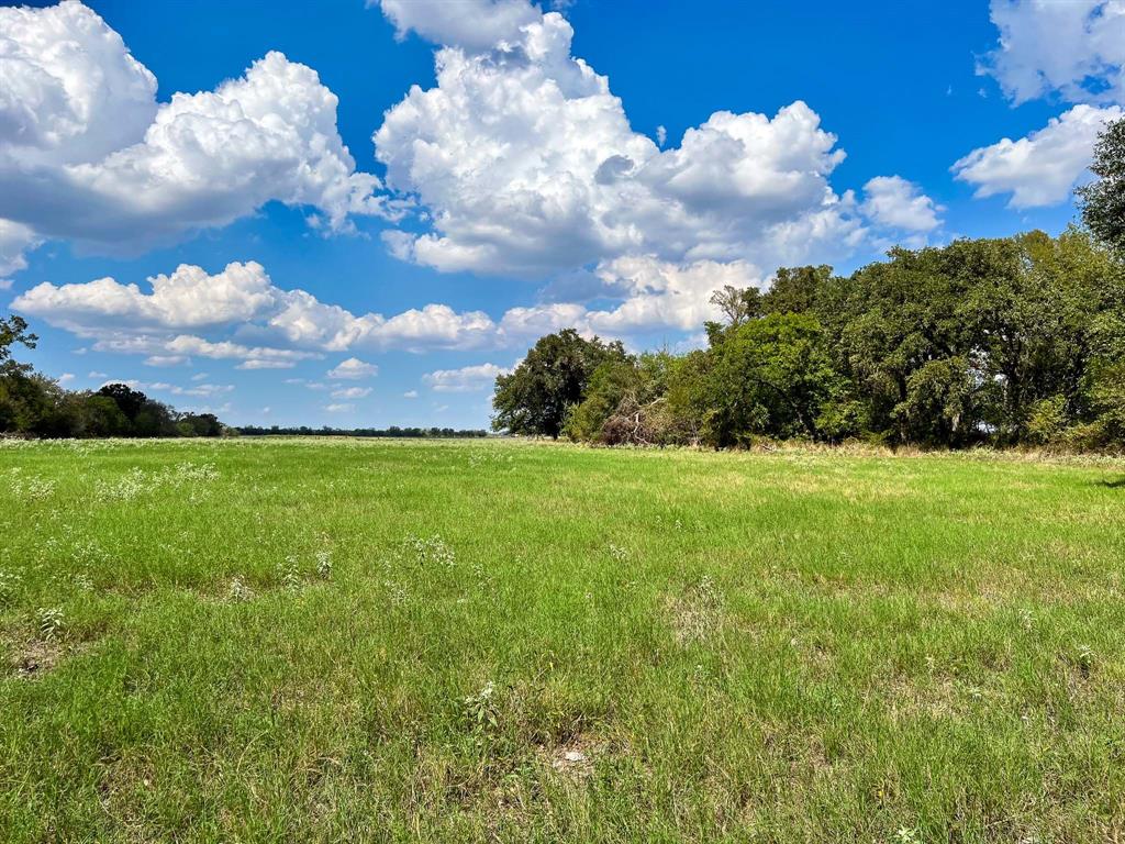 Tract 8 Fm 2745  , Kosse, Texas image 13