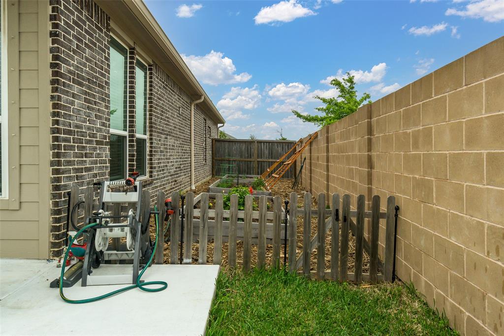 Side yard with planters