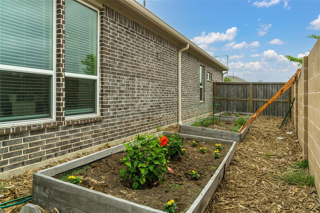 Beautiful planters in the side yard