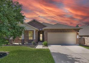 12306 Little Blue Heron, Conroe, TX, 77304