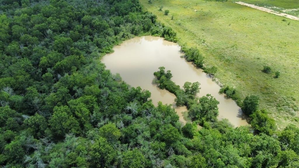 1966 Hluchan Road , Sealy, Texas image 12