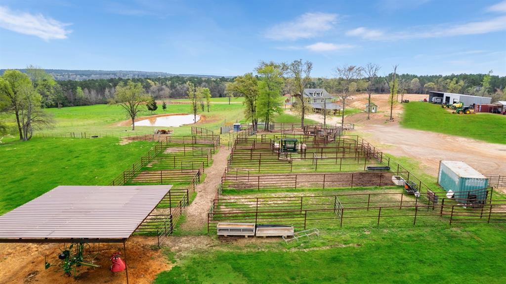 Cattle Pens*Grass virtually enhanced*