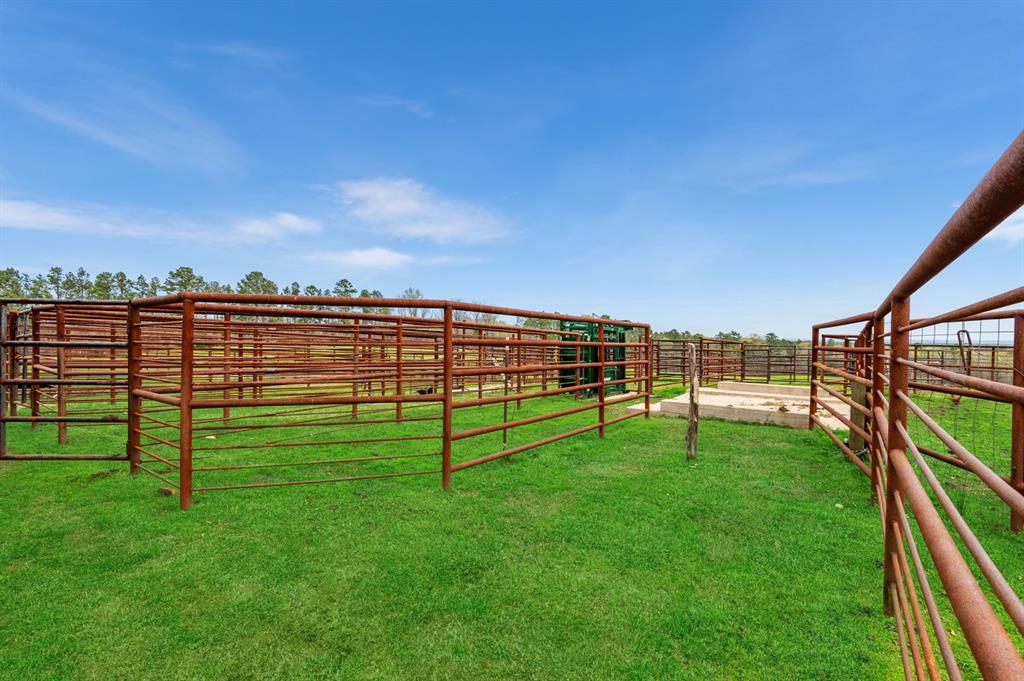 Cattle Pens*Grass virtually enhanced*