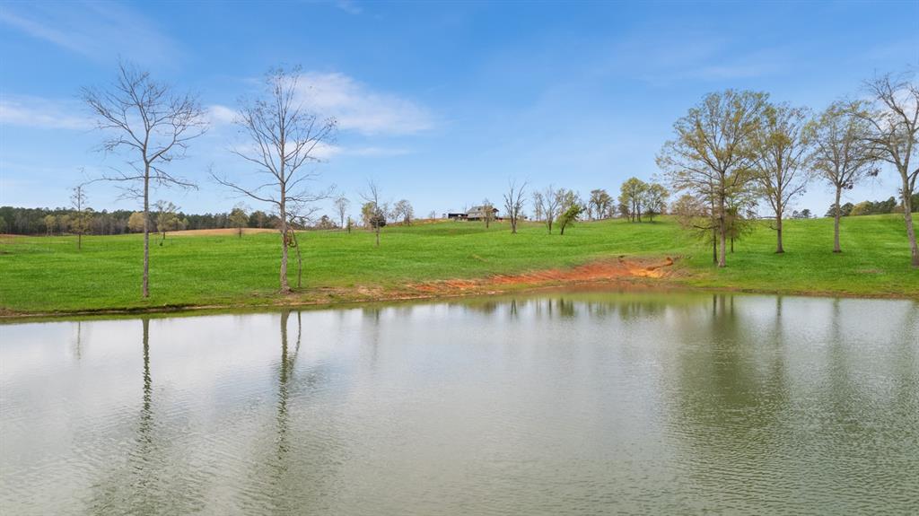 Pond View *Grass virtually enhanced*