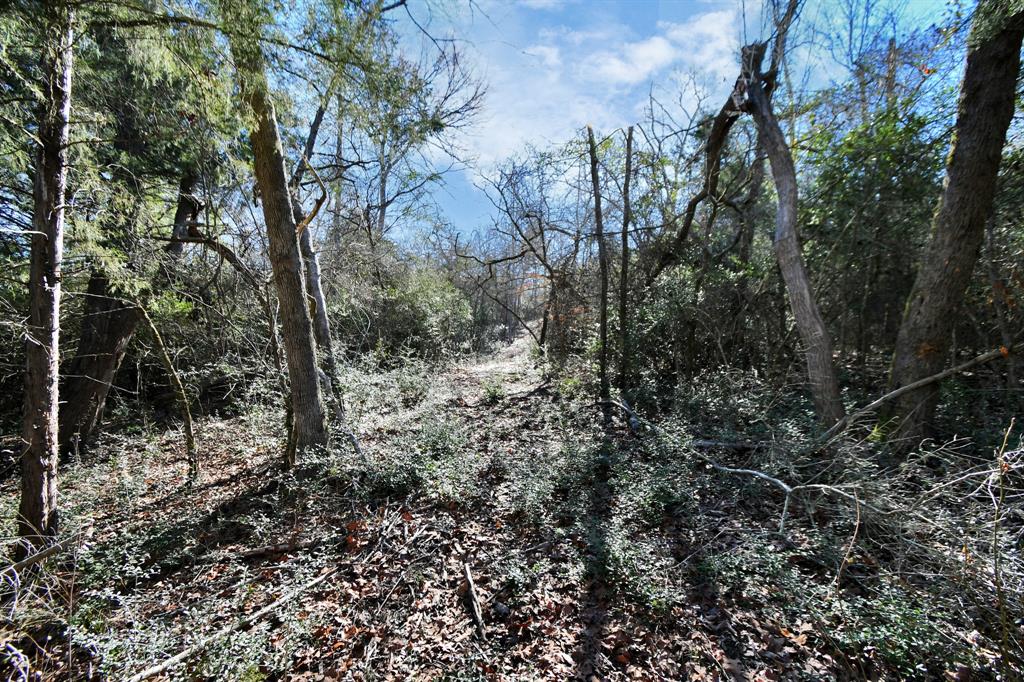 75 Pr 1318  , Centerville, Texas image 11