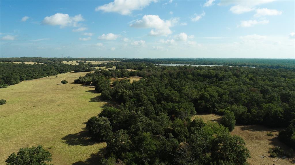 Has the Country been calling your Name? Look no further! Newly surveyed, this 92.42 acres located on FM 1469  can be yours. The property is partially fenced with 2 ponds and a nice mixture of good grazing grasses and woods. Will be perfect for cattle, ATVing and/or hunting. With 2 ponds there will be no shortage of wildlife. LOCATION BONUS...property is just minutes away from Lake Limestone.  Community water and electricity are available.