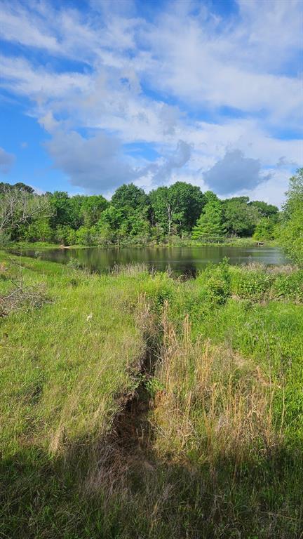 TBD Cedar Creek Road , Hempstead, Texas image 12