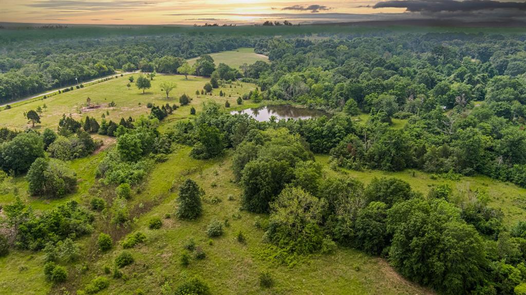 TBD Cedar Creek Road , Hempstead, Texas image 6