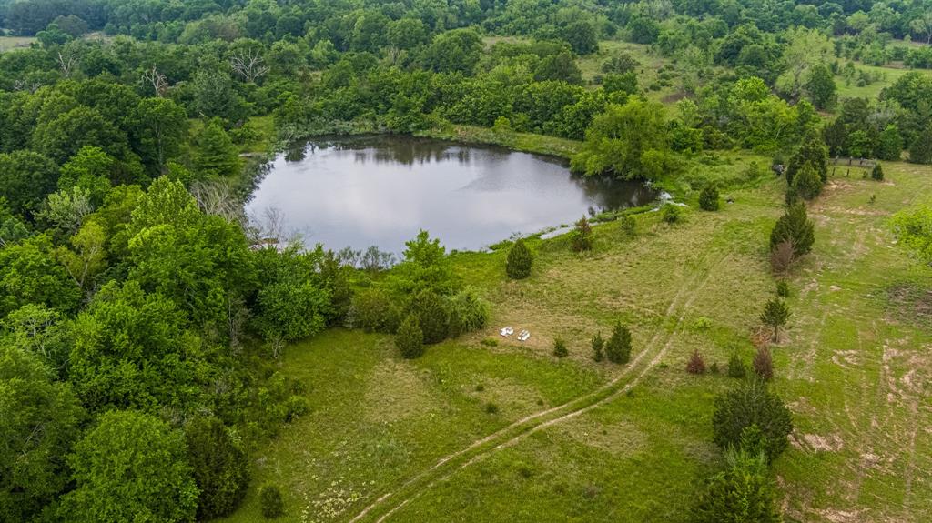 TBD Cedar Creek Road , Hempstead, Texas image 7