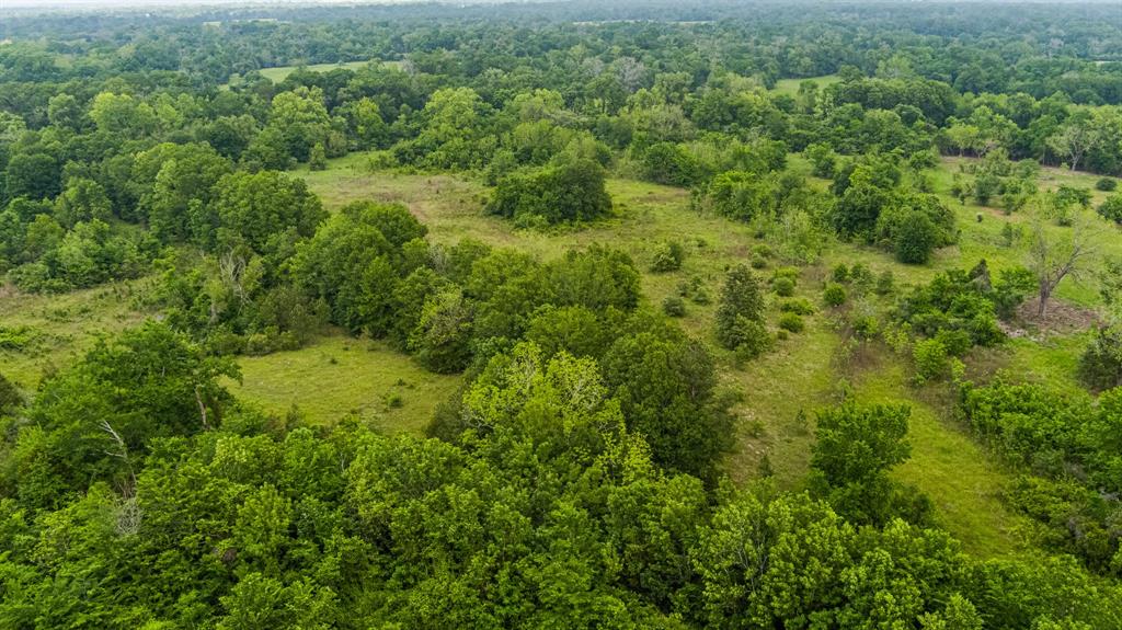 TBD Cedar Creek Road , Hempstead, Texas image 8