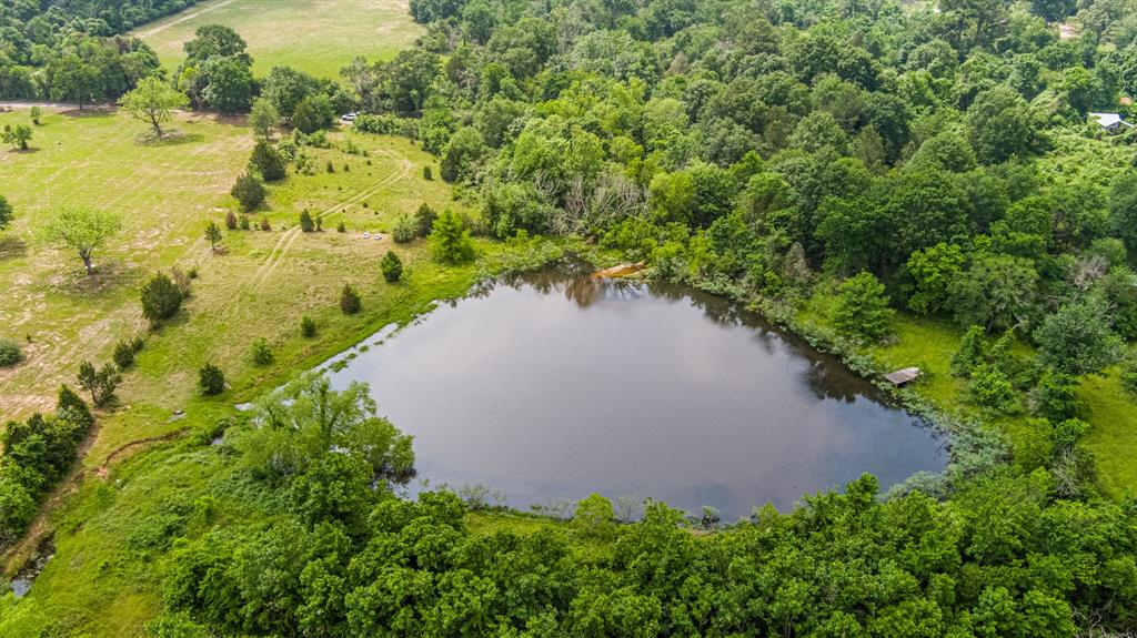 TBD Cedar Creek Road , Hempstead, Texas image 9