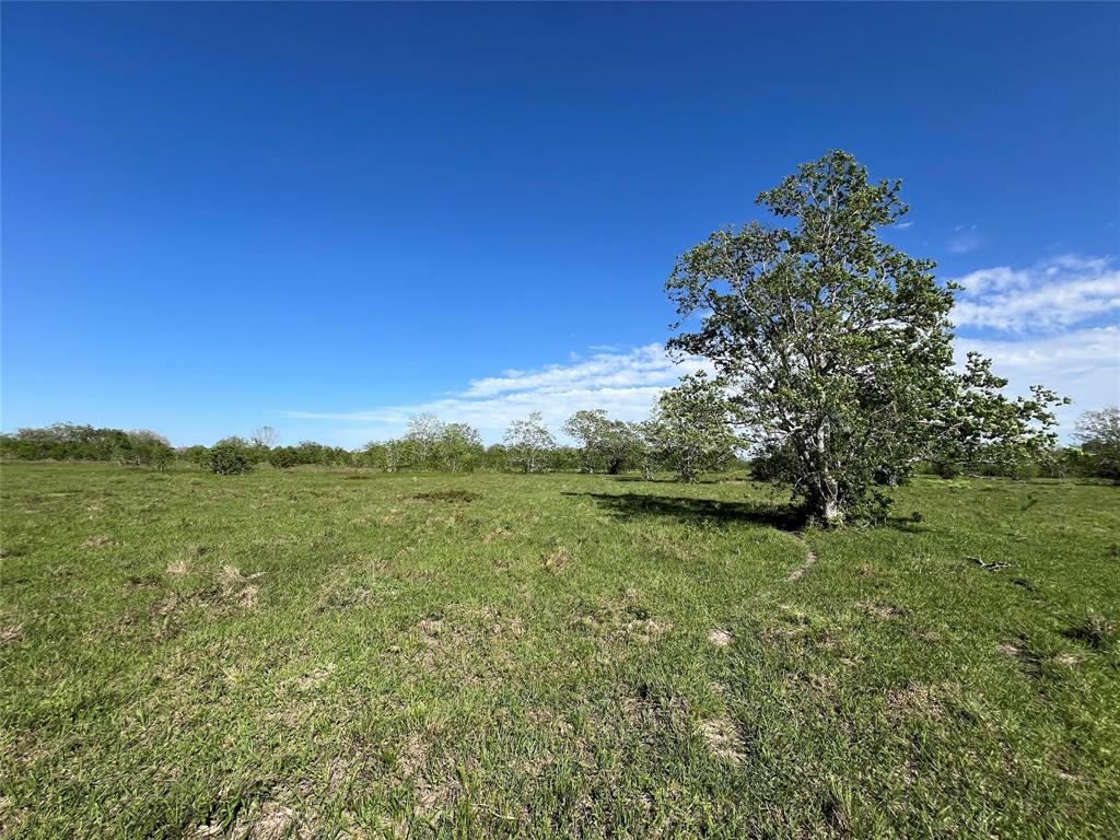 County Road 25  , Damon, Texas image 4