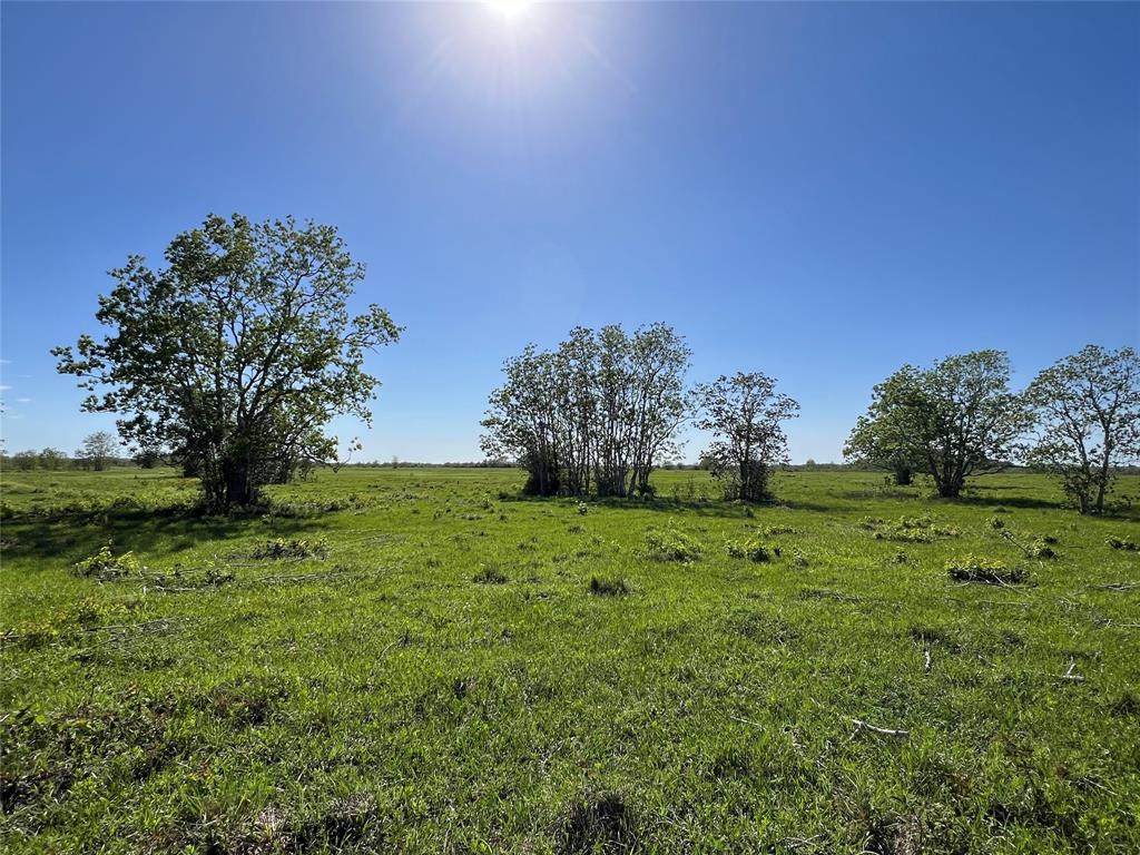 County Road 25  , Damon, Texas image 5