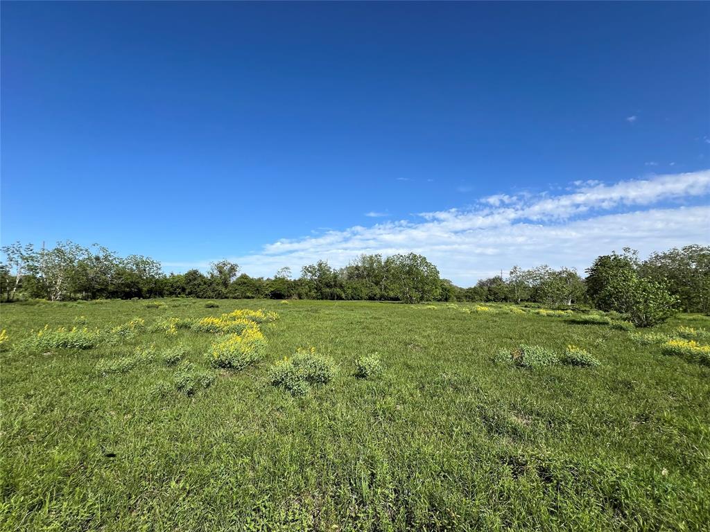 County Road 25  , Damon, Texas image 6