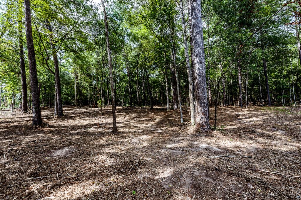 TBD Alamo Drive , Huntsville, Texas image 8