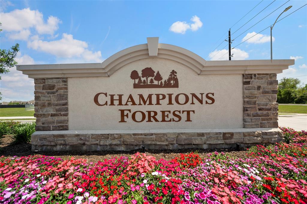 11819 Champions Forest Drive , Mont Belvieu, Texas image 21