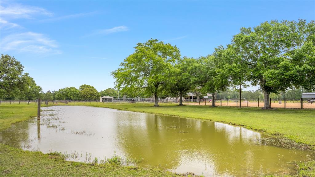 9649 Old Batson Saratoga Road , Sour Lake, Texas image 45