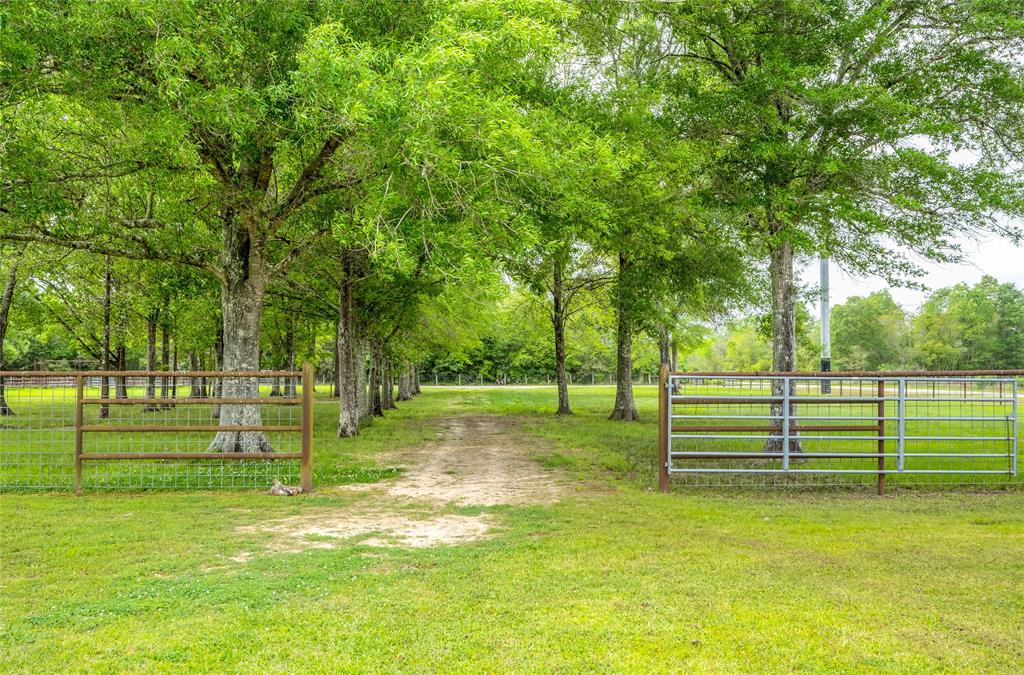 9649 Old Batson Saratoga Road , Sour Lake, Texas image 46