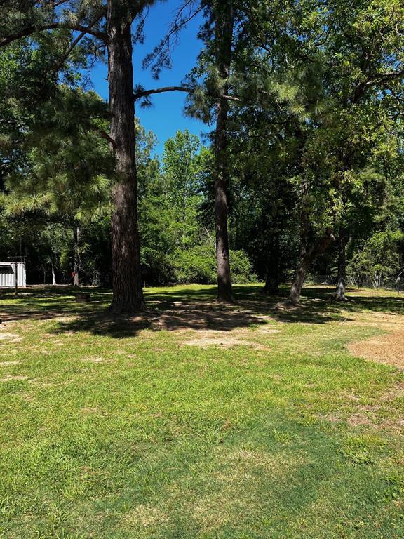 View of the backyard from the right side of the house.