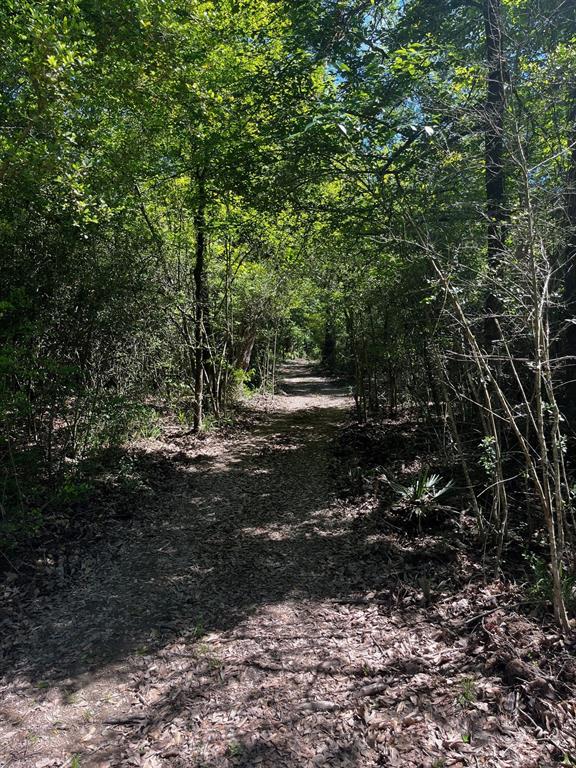 The ATV trails that go through the wooded acreage.