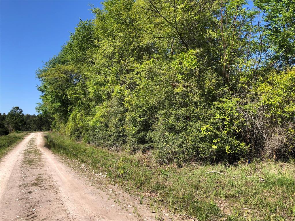 Owner reports this was part of an old Houston County homestead, sits on a hill with a fantastic build site. There is an existing old repairable barn on the property. Water and electricity available. Located in the Shilo/Lovelady area of Houston County.  Selling as is.